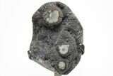 Sparkly, Gray Druzy Quartz Geode on Metal Stand #209175-1